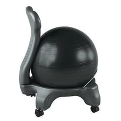 Gaiam Balance Disc Wobble Cushion